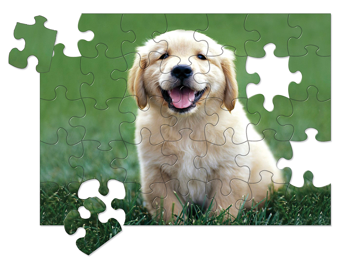 Golden Retriever Puzzle Dog Puzzle Sizes 110 252 or -  in 2023